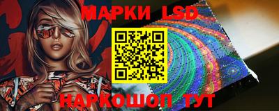 стафф Гусев