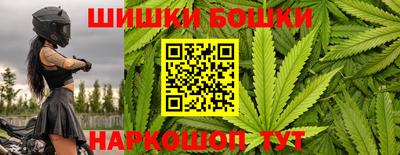 стафф Гусев