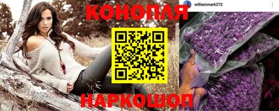 стафф Гусев