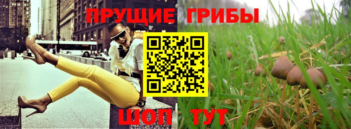 купить  сайты  Вход с VPN  Галлюциногенные грибы ЛСД  Павловский Посад  Галлюциногенные грибы Magic Shrooms 